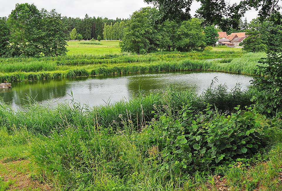 Karpfenteiche entlang der Lotter