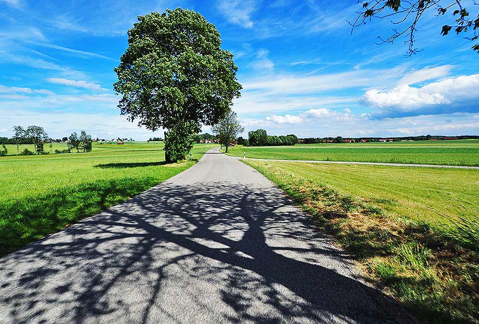 Radweg auf dem Hügelkamm