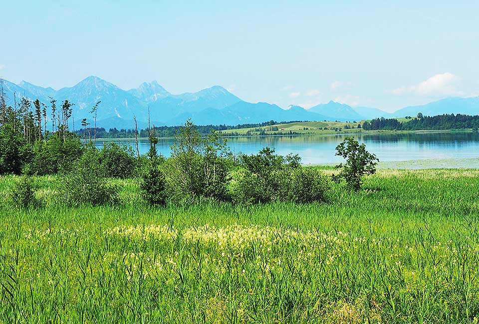 Der Bannwaldsee