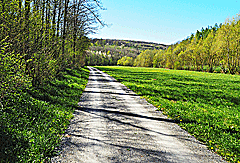 Radweg im Aalbachtal