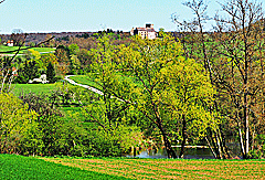 Blick auf die Gamburg