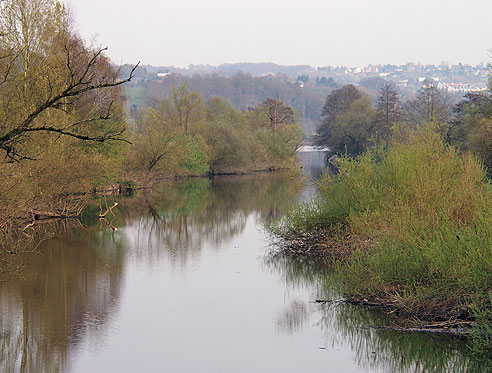 Biotop bei Heisingen
