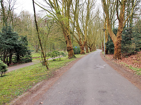 Allee zur anderen Talseite