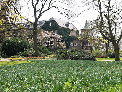 Ausblick auf die Altarme