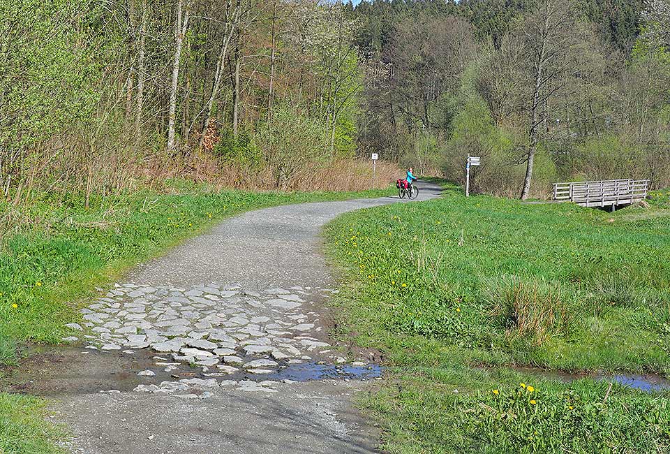 Am Wald entlang