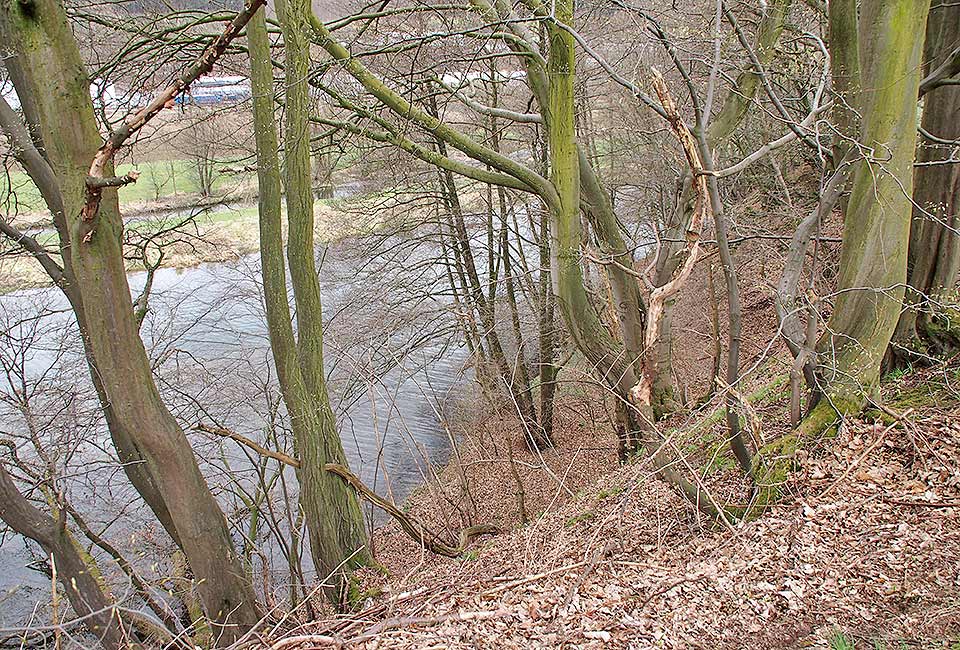 Blick ins Tal Blick ins Tal