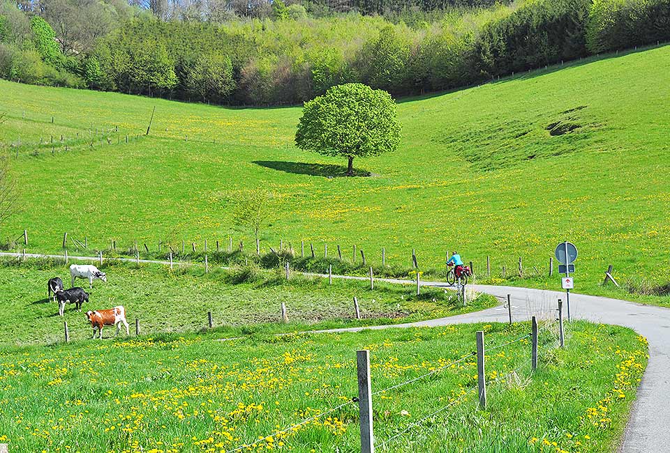 Idyllischer Radweg nach Assinghausen