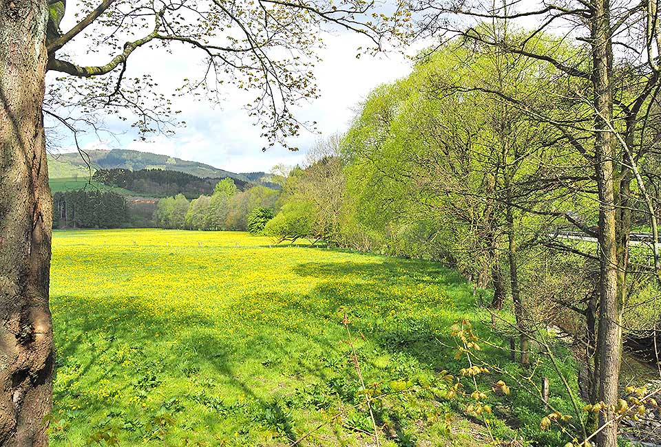 Tal der noch kleinen Ruhr Tal der noch kleinen Ruhr