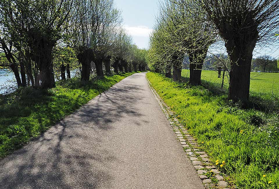 Weidenallee an der Ruhr