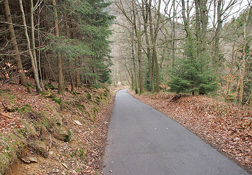 Durch den Wald entlang der Ruhr