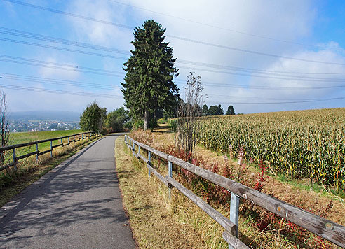 Rechts und links des Weges sind hölzerne Abschrankungen installiert, damit niemand von der ehemaligen Bahntrasse stürzt.
