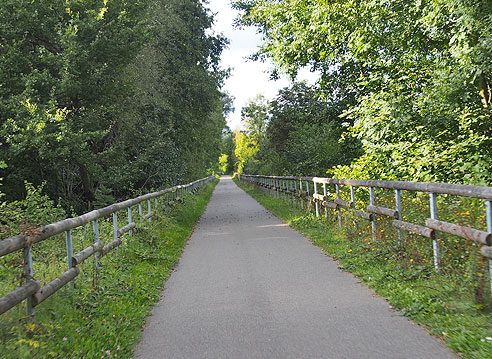 Radweg am Wald entlang