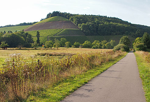 Weinberge bei Kasel