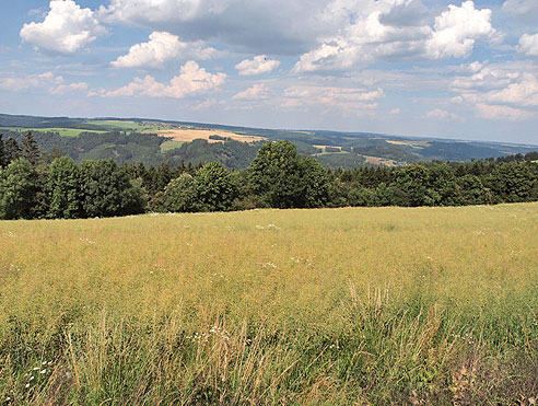 St. Johannis Drognitz