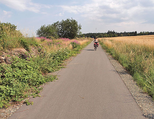 Saaleradweg: Steinerne Rose