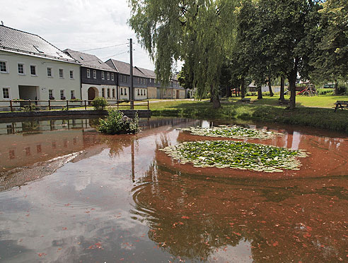 Teich in Altenbeuthen