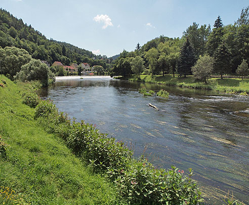 Ungez&uuml;gelte Saale