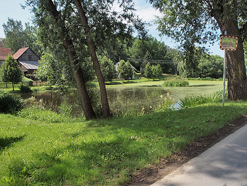 Saaleradweg: Teiche in Crispendorf
