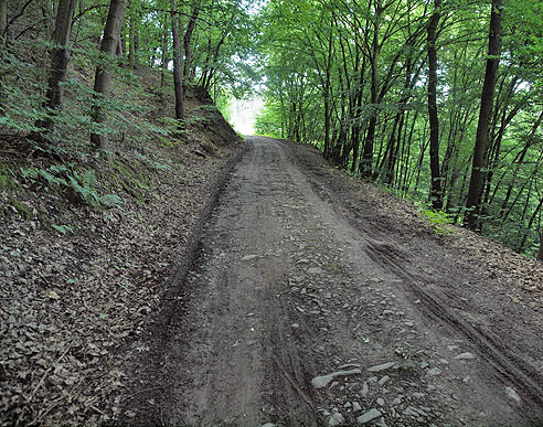Schlechter Waldweg