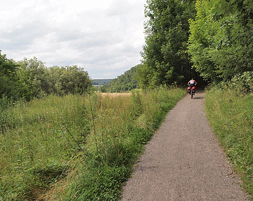 Radweg am Wald