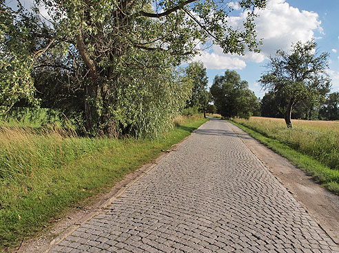 Am Ortsrand Großjena