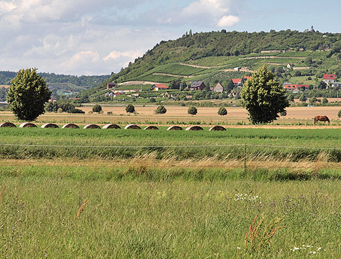 Blick ins Unstruttal