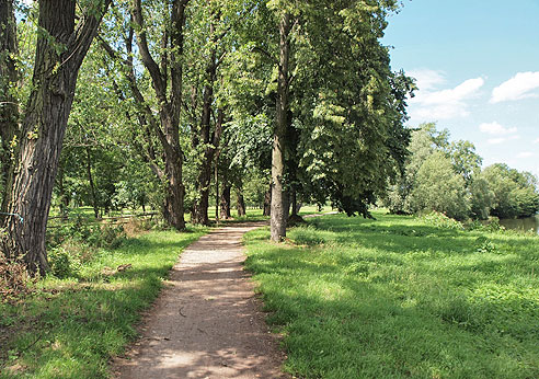 Radweg durch die Saaleauen	