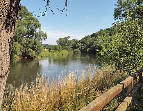 Burgruine Sch&ouml;nburg