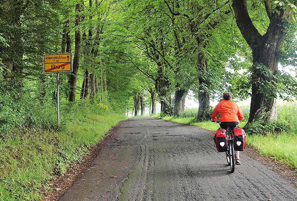 Durch eine Allee weiter