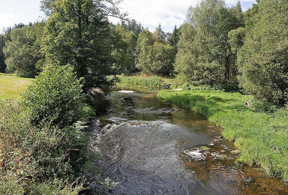 Blick auf die Saale