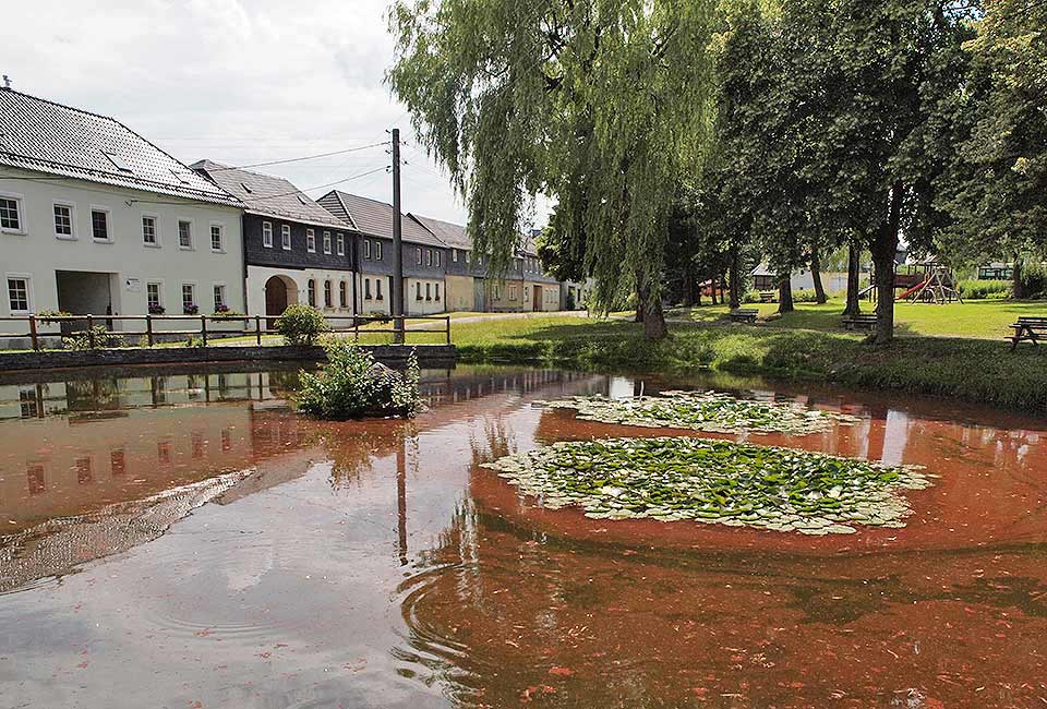 Teich in Altenbeuthen