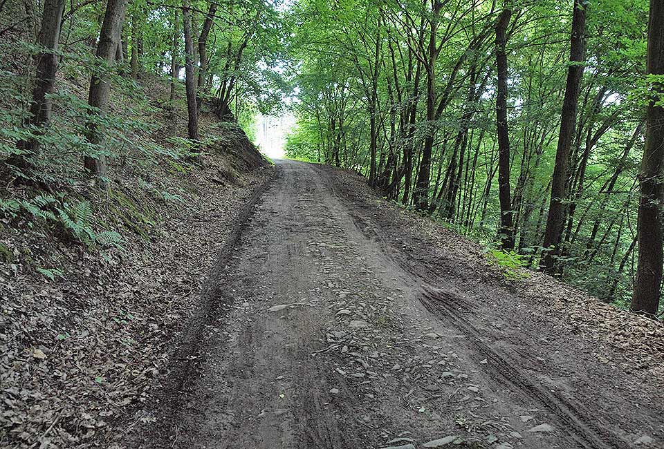 Schlechter Waldweg