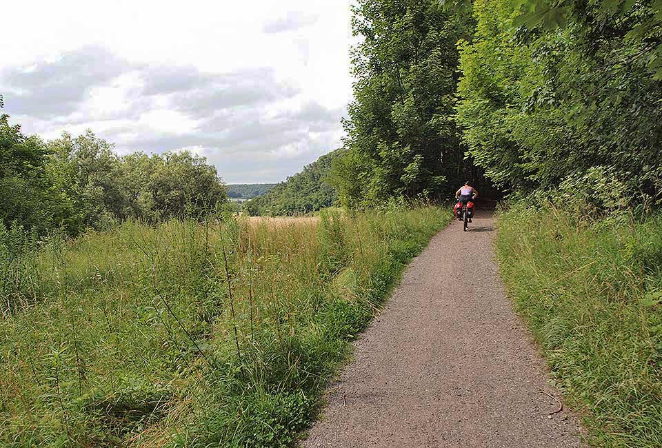 Radweg am Wald