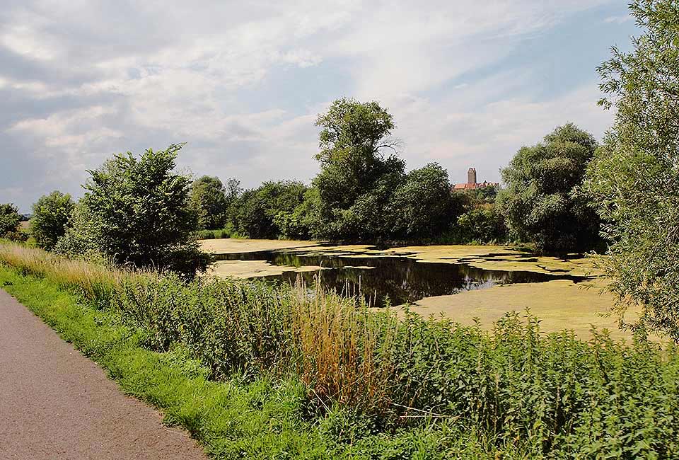 Altarm der Saale bei Plötzkau