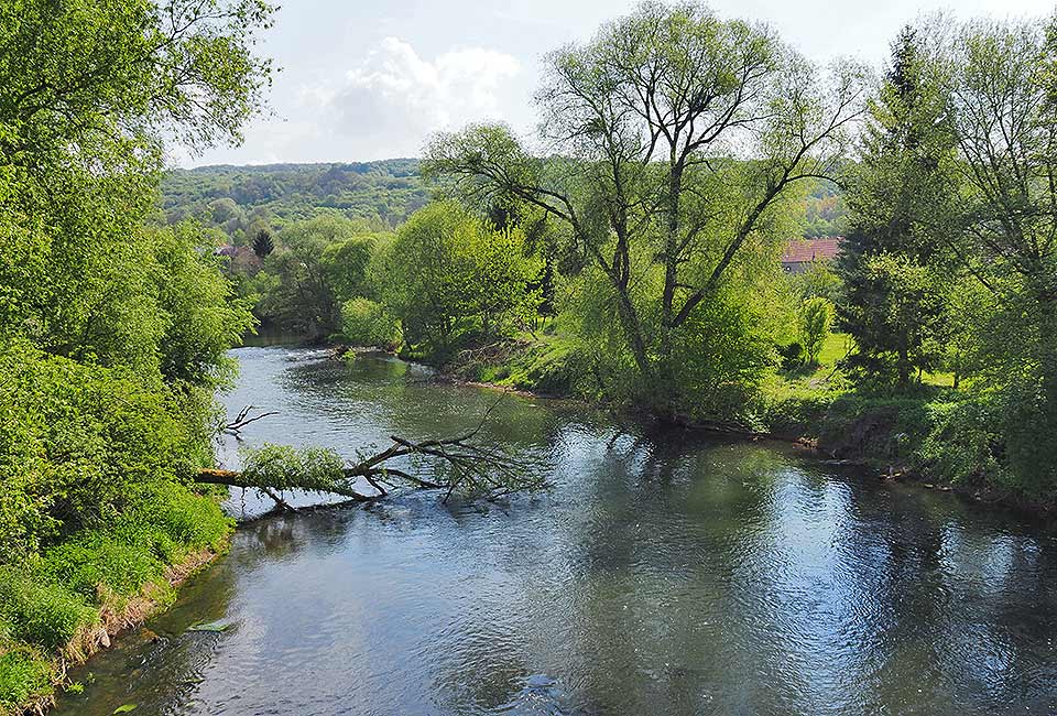 Schöner Weg durch Streuobstwiesen Schöner Weg durch Streuobstwiesen