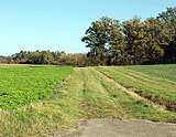 Landschaft nach Ehningen