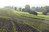 Landschaft bei Gültstein