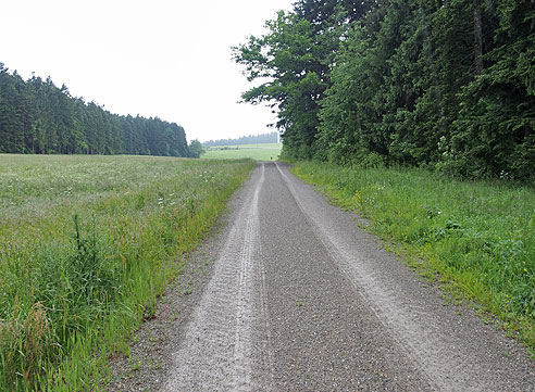 Radweg im Wald nach  Loßburg