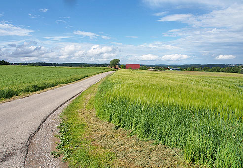 Auf der Hochebene