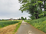 Radweg vor Römlingsdorf