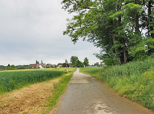 Radweg vor Römlingsdorf