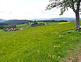 Aussicht vom Höhenweg