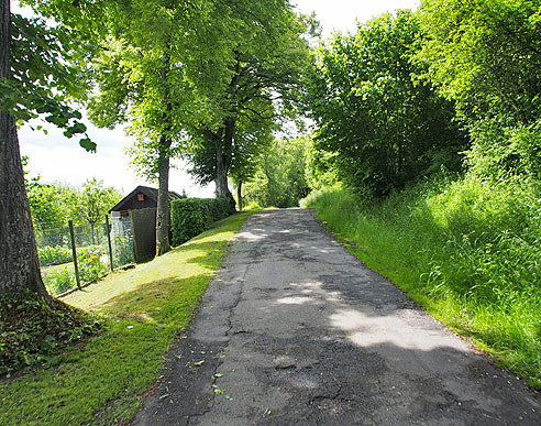 Straße nach Rietheim