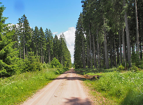 Lange Allee