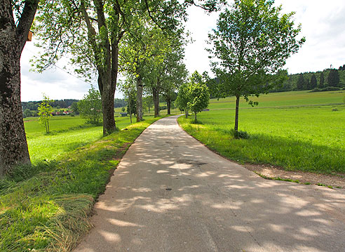 Radweg nach Bräunlingen