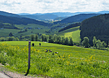 Blick ins Tal