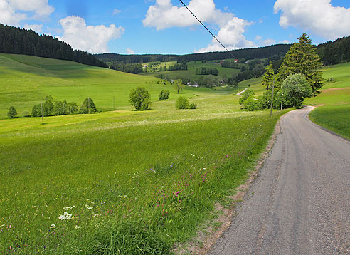 Talfahrt zum Titisee