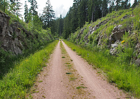 Bahntrasse Bähnleradweg