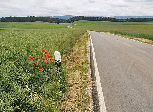 Auf der Hügelkuppe