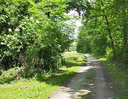 Radweg an der Wutach